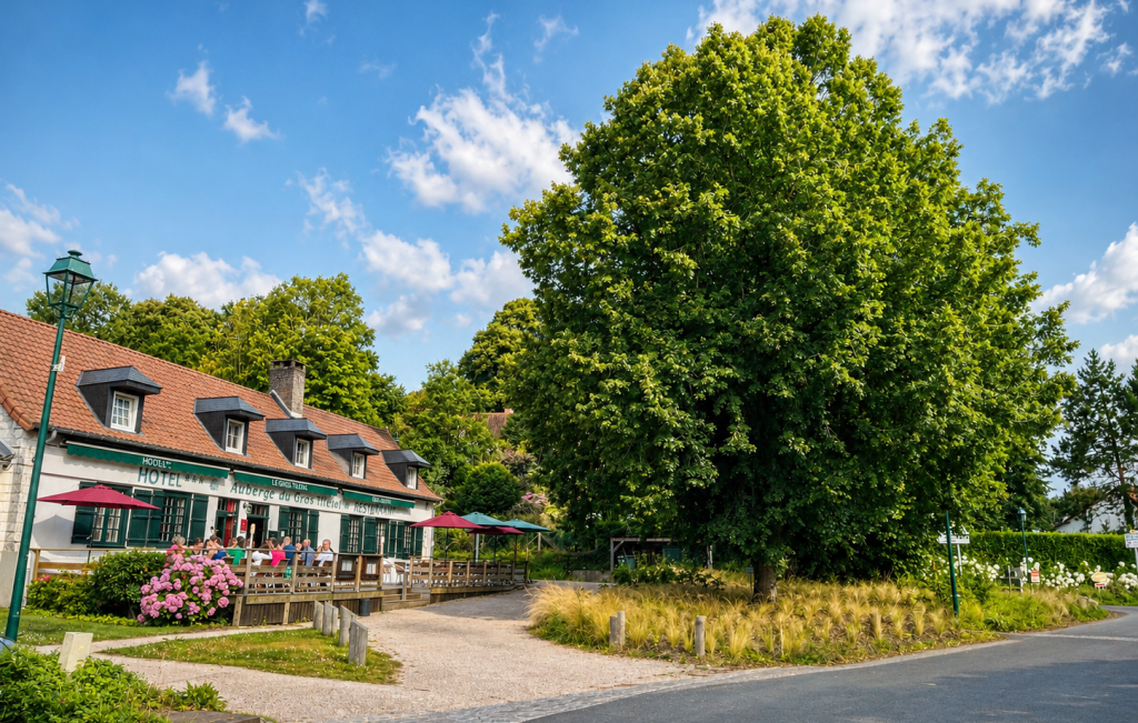 Hôtel-Restaurant Le Gros Tilleul